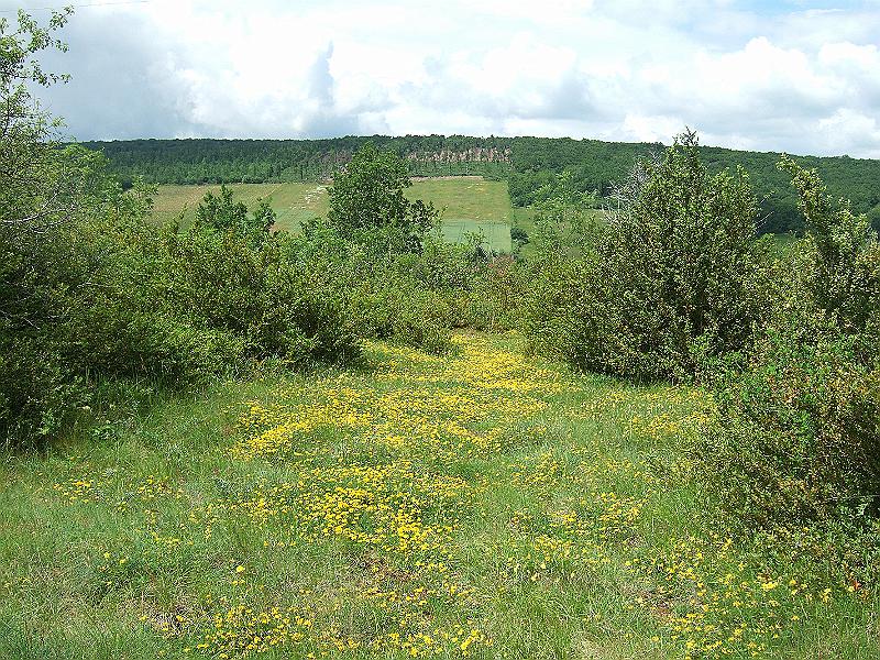 2010-05- (56).JPG